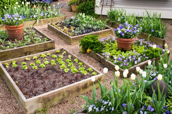 κήπος ιδέες φυτών υψηλό κρεβάτι φυτών