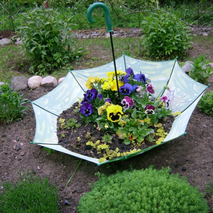 Idées de jardin parapluie plante conteneur fleurs