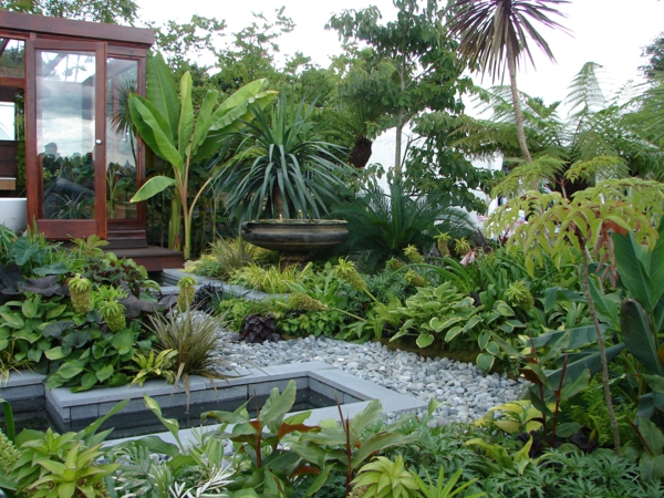 градина идеи тропически растения банан палмово естествен камък градина езерце