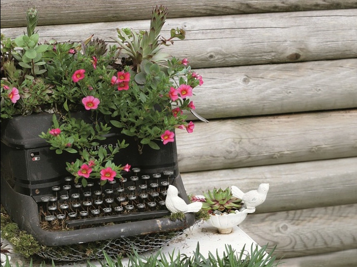 havearbejde ideer til at gøre blomster blomster gammel skrivemaskine