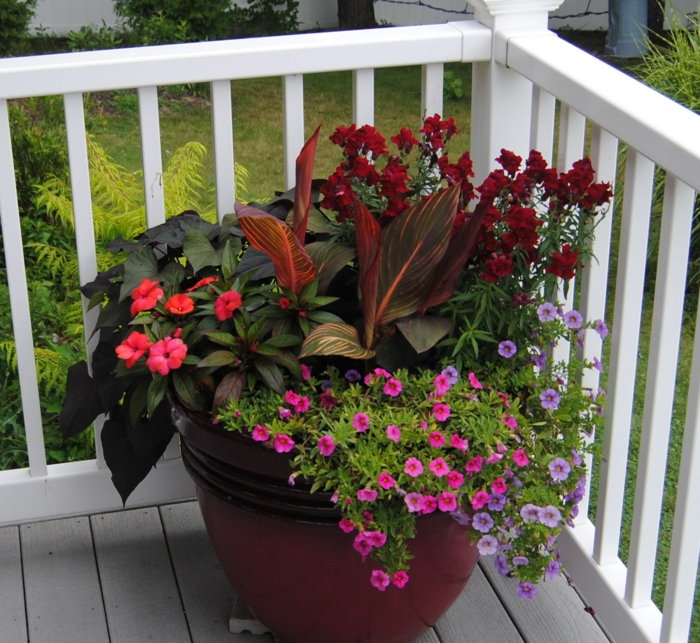 haven planter balkon dekorere potteplanter ideer