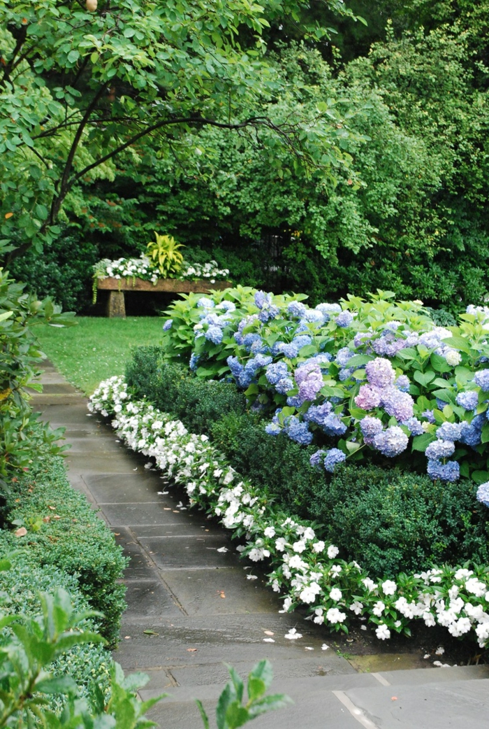 نباتات حديقة كوبية حديقة زهرة جميلة تصميم الحديقة