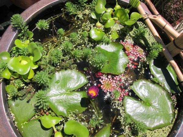 κήπο λίμνη οικοδόμηση μίνι κεραμικό λουτρό λουλουδιών