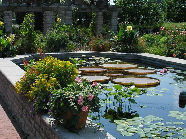 градинско езеро средиземноморски стил цветя растителна