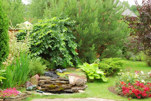 градинско езерце каменни плочи трайни насаждения храсти озеленяване