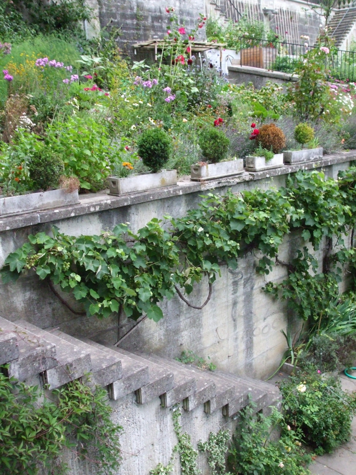 μοντέρνο σχεδιασμό κήπου σκάλα σκάλα εξωτερικές σκάλες κατάφυτα βότανα