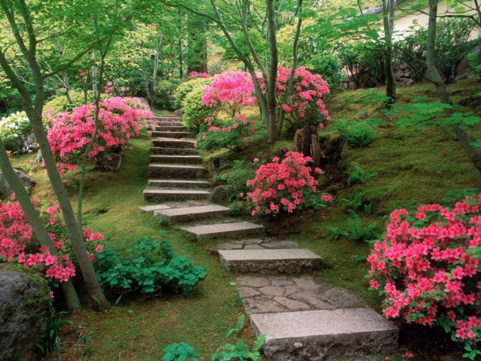 现代园林设计花园楼梯外部楼梯草药宽板