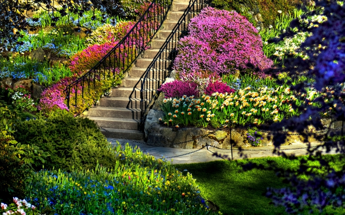现代花园花园楼梯楼梯草药华丽