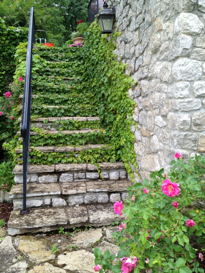 μοντέρνο σχεδιασμό κήπου υπαίθρια σκάλες βοτανικής πέτρας σκάλες