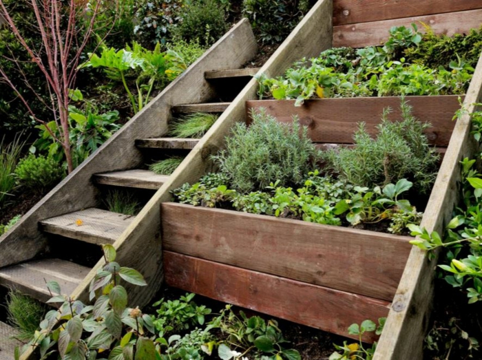 现代园林设计花园楼梯楼梯草药