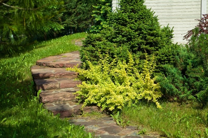 градински стълби естествени каменни плочи озеленяване