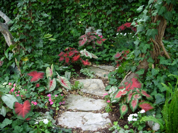 градина пътека естествен камък градина форма растение екстериор