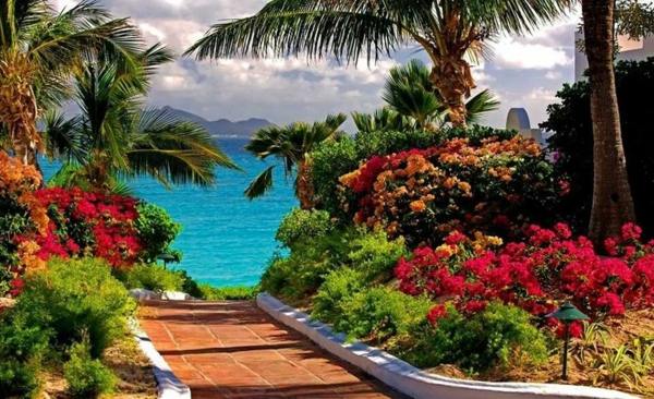 jardin avec vue sur la mer maison d'été