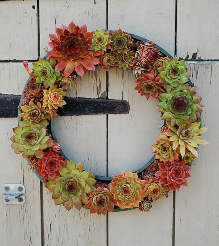 used car tires succulents plants wall wreath