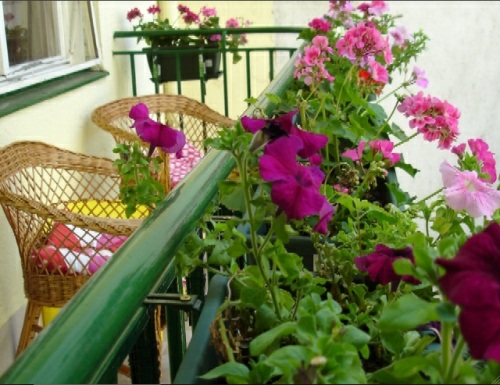En hyggelig balkon design bænk stole blomster pink grøn eksteriør