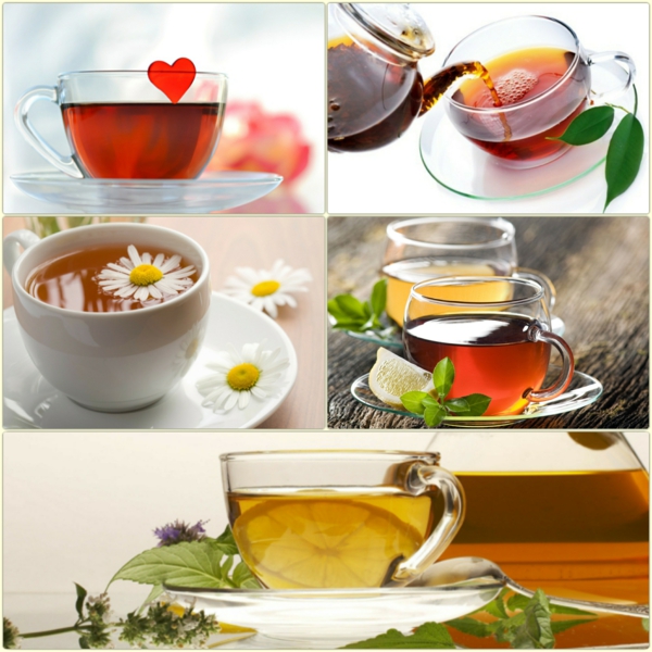 健康生活茶饮茶效果茶种