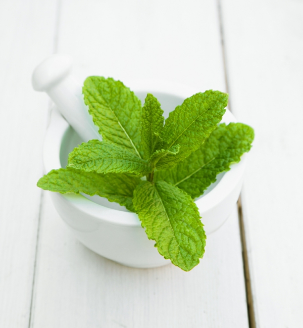 green mint leaves spice herb healthy