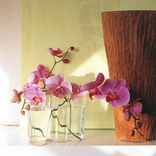 glazen water decoratie orchideeën roze fris origineel