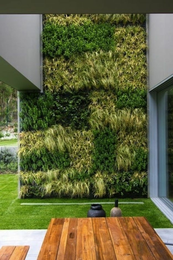 πράσινο τείχος στον κήπο