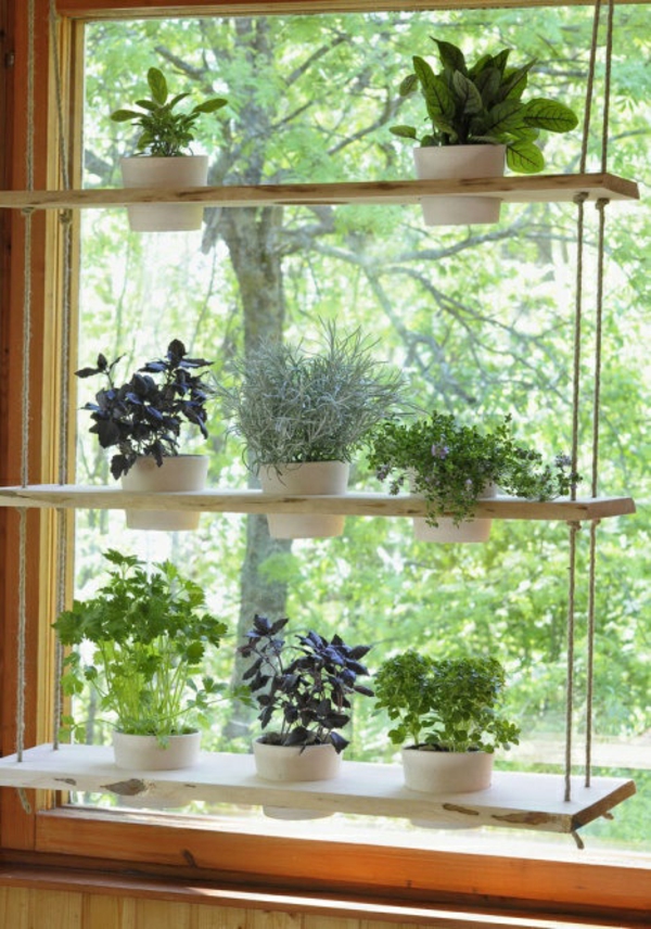 挂室内植物装饰想法木架子挂盆栽植物