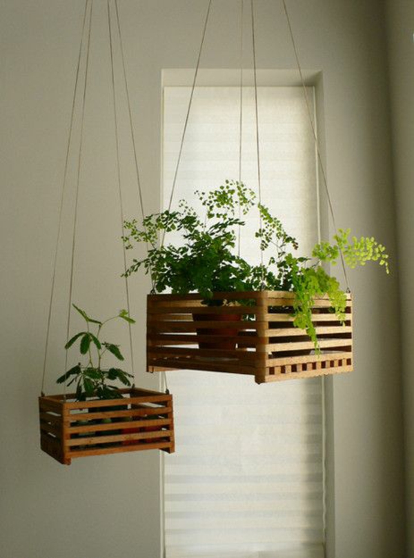 挂室内植物木盒装饰的想法
