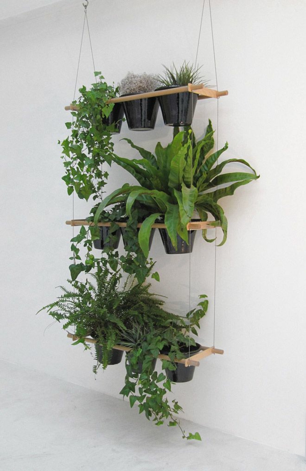 挂室内植物木板架上吊装饰的想法