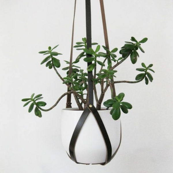 挂室内植物皮带装饰创意礼篮