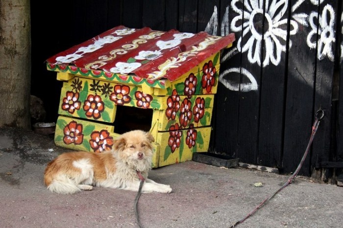 dům fasáda zalipie doghouse zdobí zahradní plot zdobí