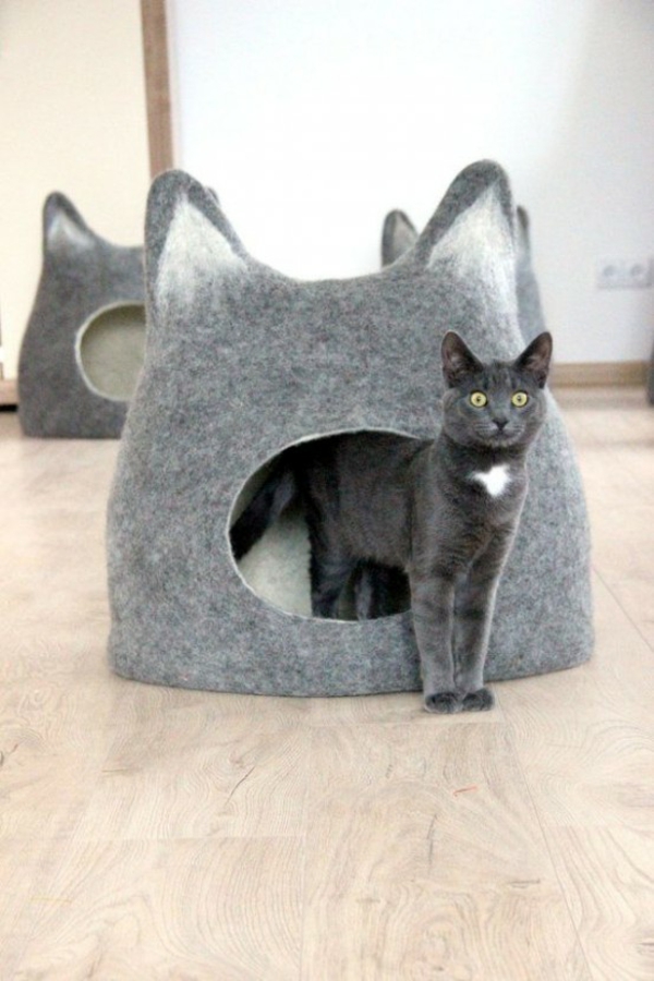 chat domestique choyer des chats meubles lit fait de feutre