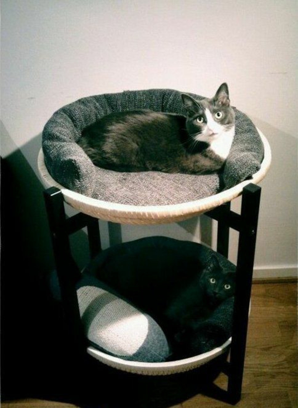 maison chats choyer des chats meubles lit construire vous-même