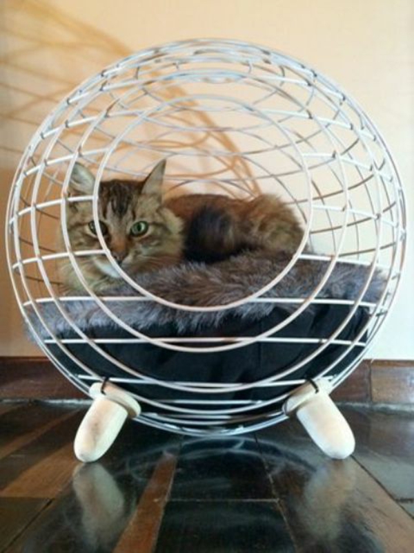 maison chats gâcher chats meubles sphère