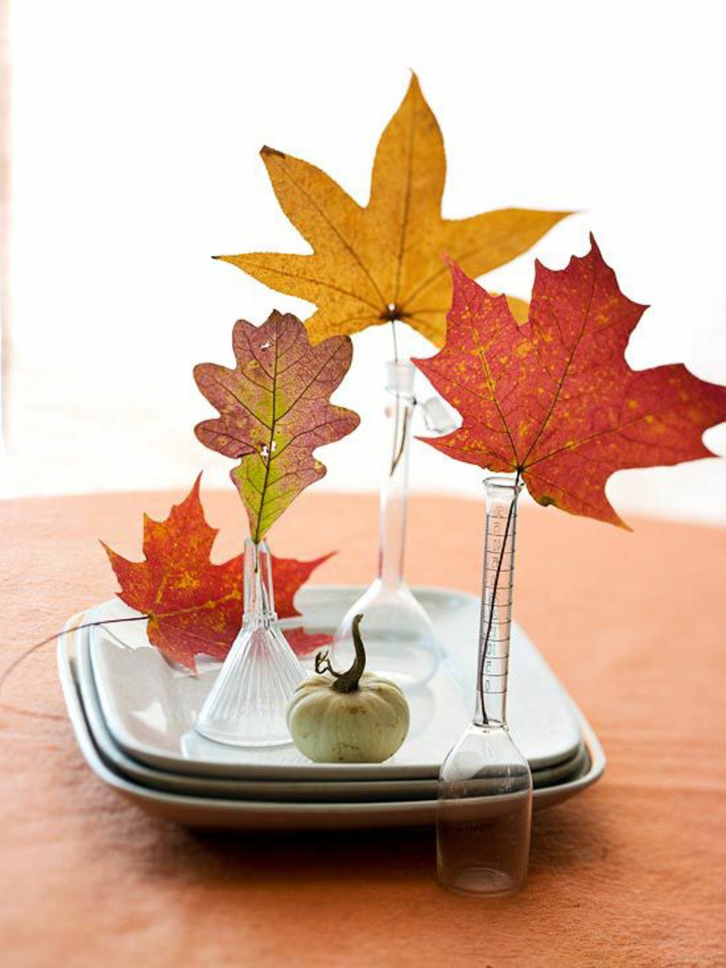 秋季表装饰叶子花瓶板