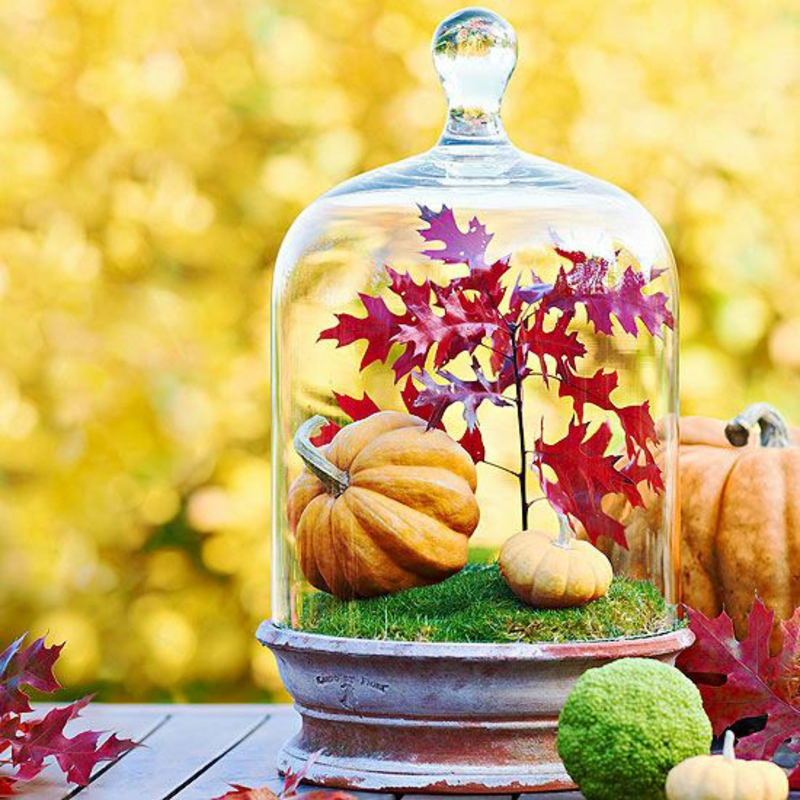 秋天桌装饰想法饲养容器