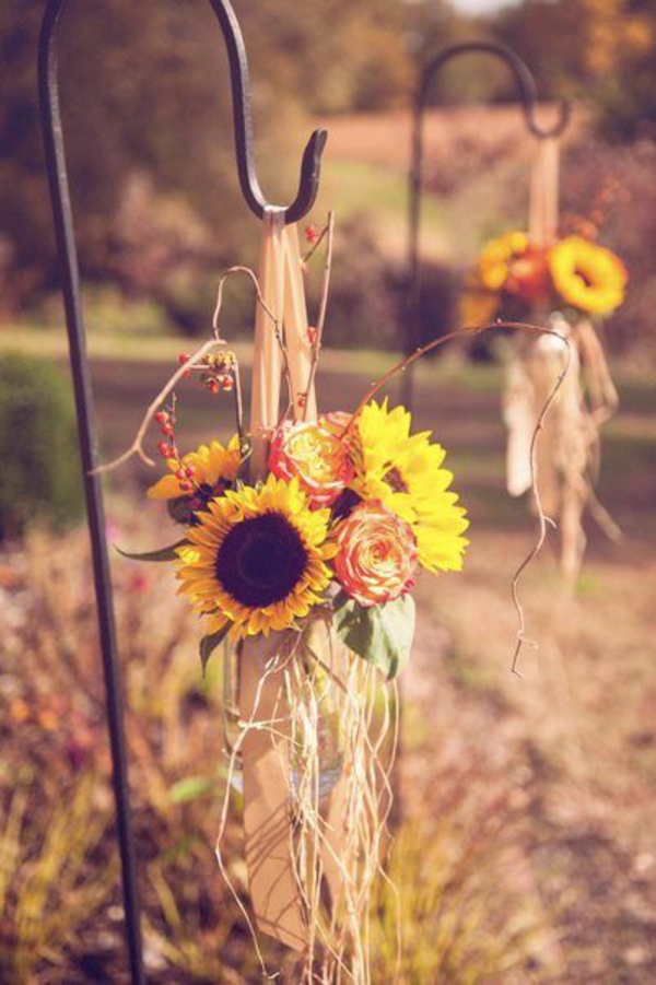 الخريف الزهور ريفي شرفة الزهور في الخريف sunflowers على قيد الحياة