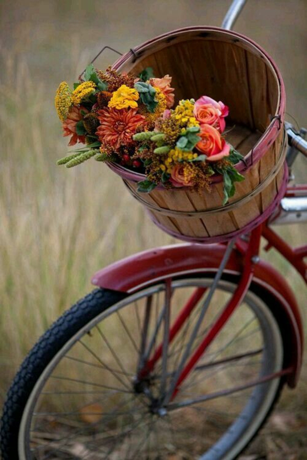 φθινόπωρο λουλούδια μαργαρίτες μπαλκόνι ποδήλατο λουλούδια μπουκέτο