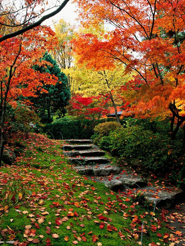 есенна градина градина на склон създаде камък