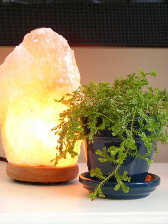 himalaya salt effekt bord lamper houseplant