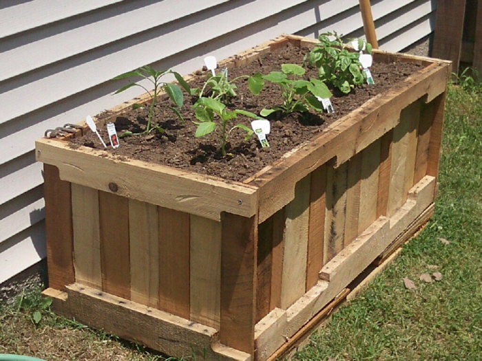 hochbeet construire planter des idées de jardin bricolage idées bois devant jardin chemin des fleurs lit en bois boîte