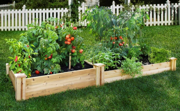 hochbeet construire planter des idées de jardin bricoler des idées bois devant jardin chemin de fleurs tomates