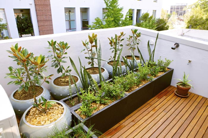 lits surélevés design élégant rond plante conteneur terrasse forme