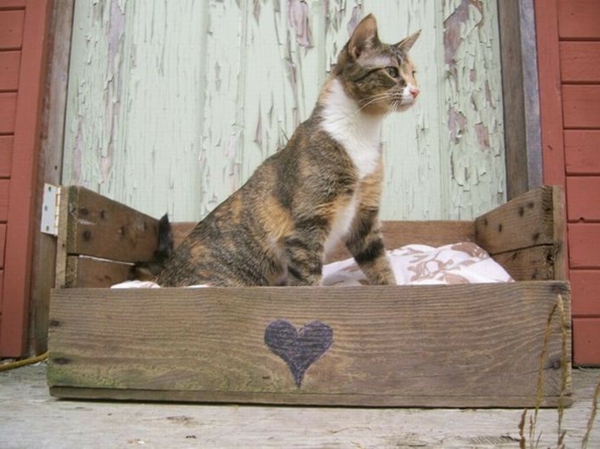 wooden pallets furniture DIY DIY ideas cat litter box