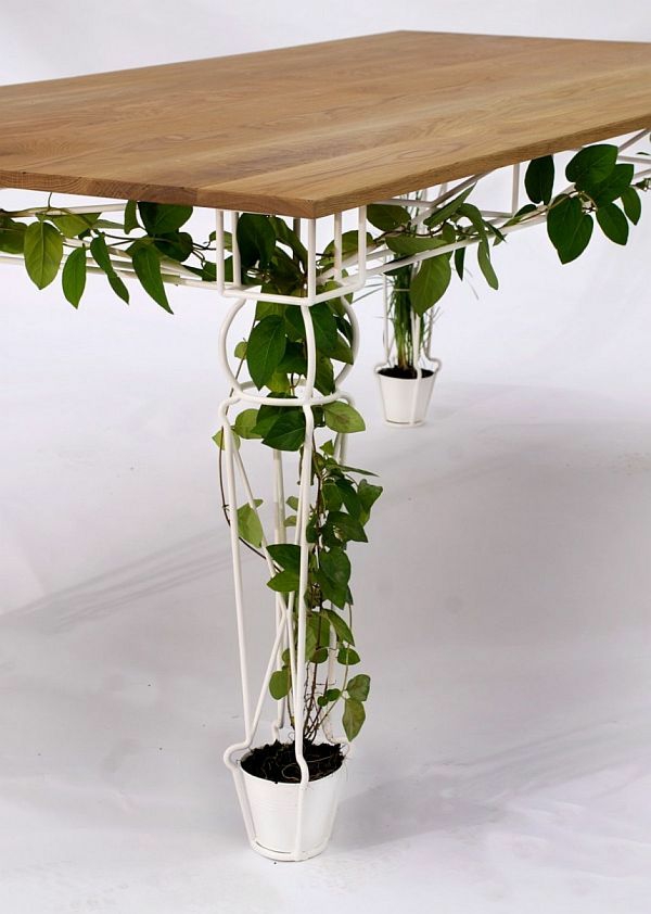 ξύλινο τραπεζάκι τραπέζι τραπεζαρία εσωτερικούς χώρους φυτά γεμάτα φυτά αναρρίχηση φυτών