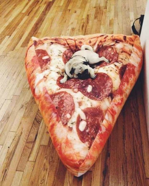 bed itself build floor cushions pizza pattern