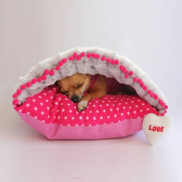 Šuo lova kuria dizainerio idėjas, rožinę pagalvę