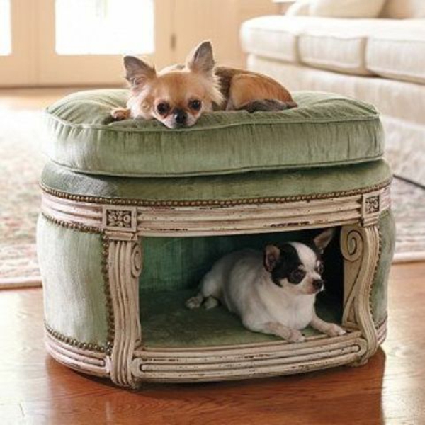 pastatyti šunų lovą sau statyti išmatą
