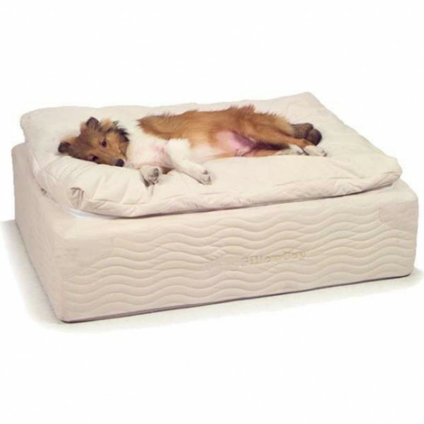 Pes postel postavit malý matrace