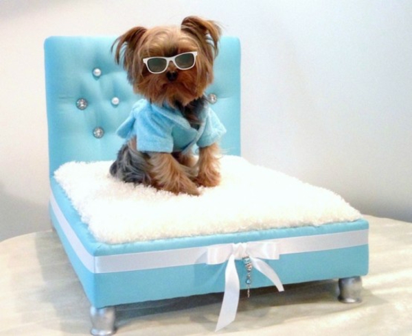 Dog bed itself build chic kitchig blue