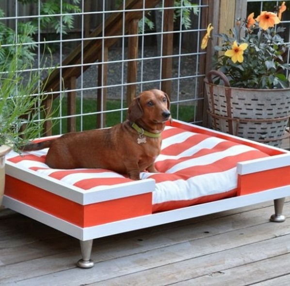 Dog beds themselves build a drawer with pillows in the garden