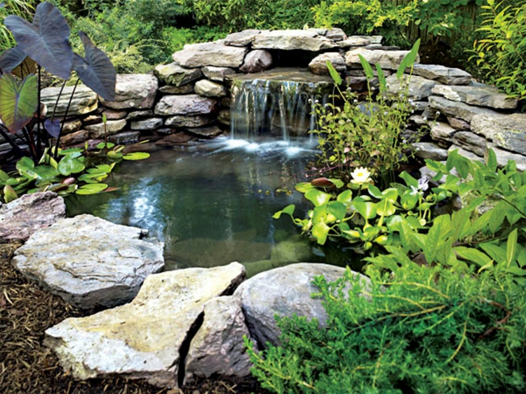 photos de bassin de jardin inspirant conception de jardin avec des pierres