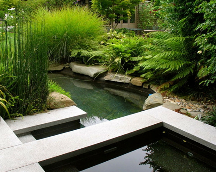 jardin d'eau inspirant photos jardin moderne